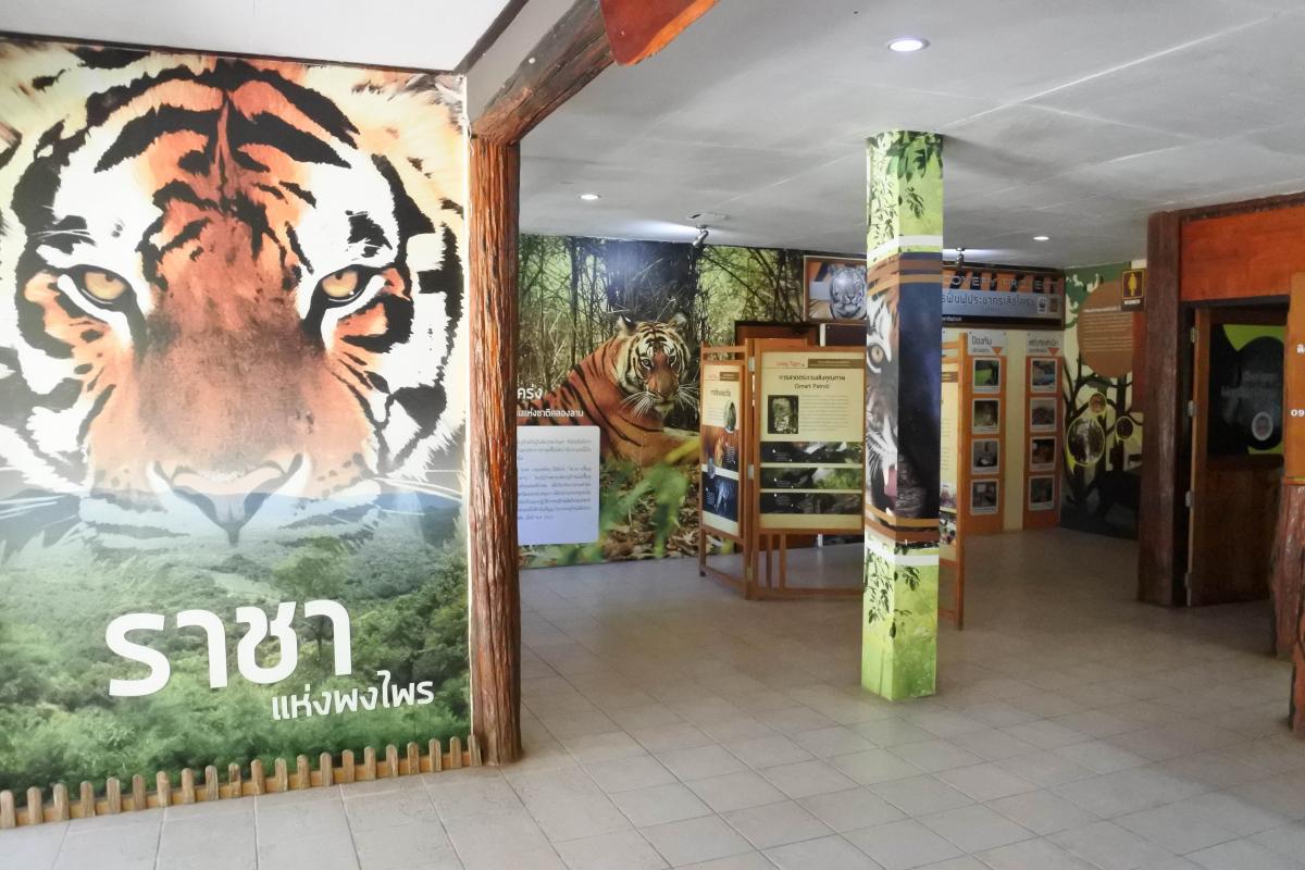  Visiting the Mae Wong headquarters 