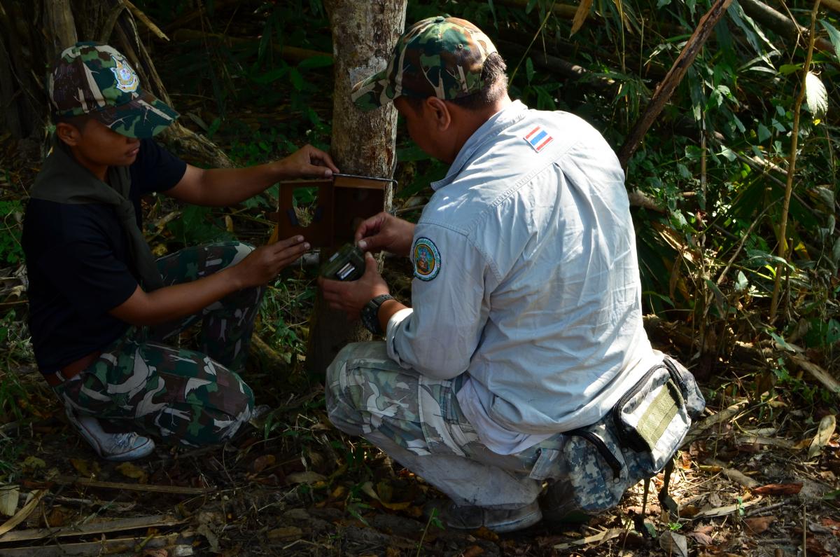 Patrouillengang im Dschungel